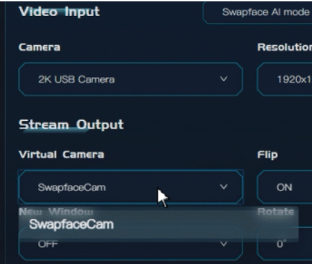 Selecting the renamed Swapface virtual camera in the dropdown menu