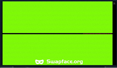 Example of a green screen when the Swapface input camera fails