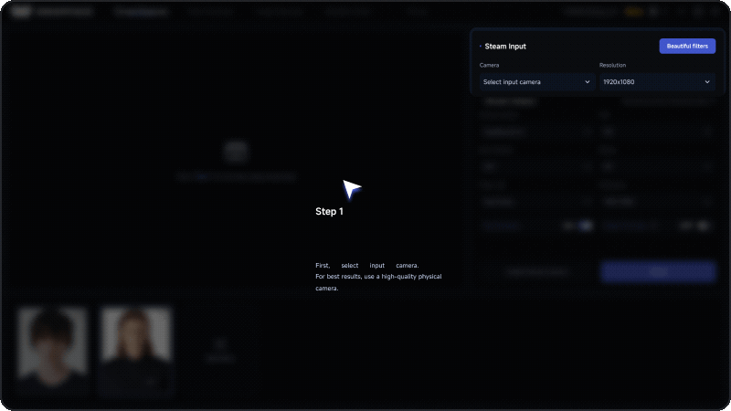 Swapface Stream tutorial step 1: select the input camera in Video Input